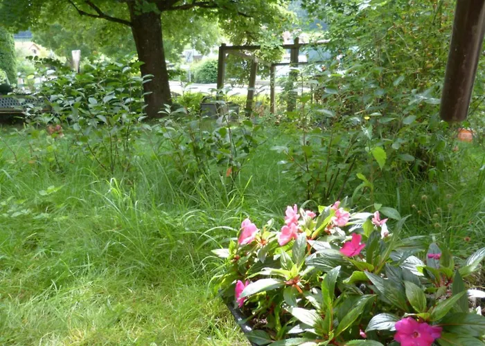 アパート Ronja *